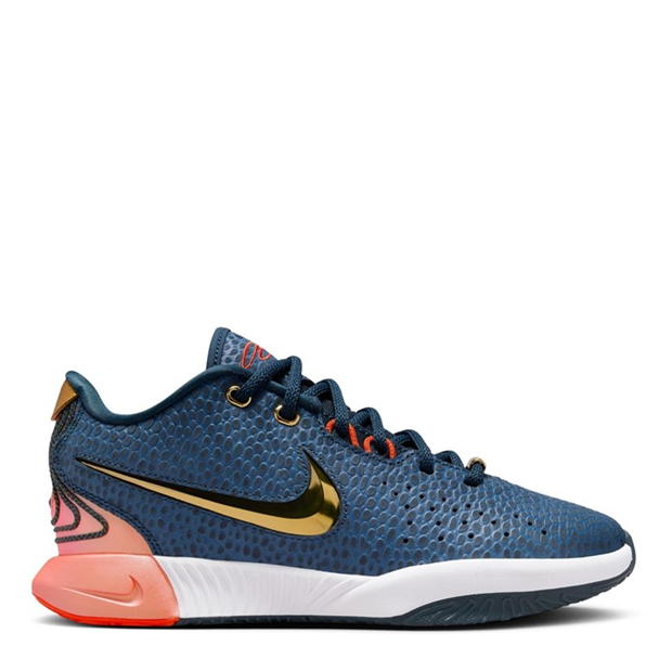 Nike Lebron Xxi Se (Gs) Basketball Trainers Boys