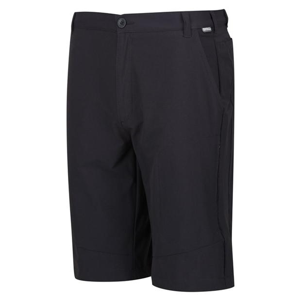 Regatta Highton Long Shorts