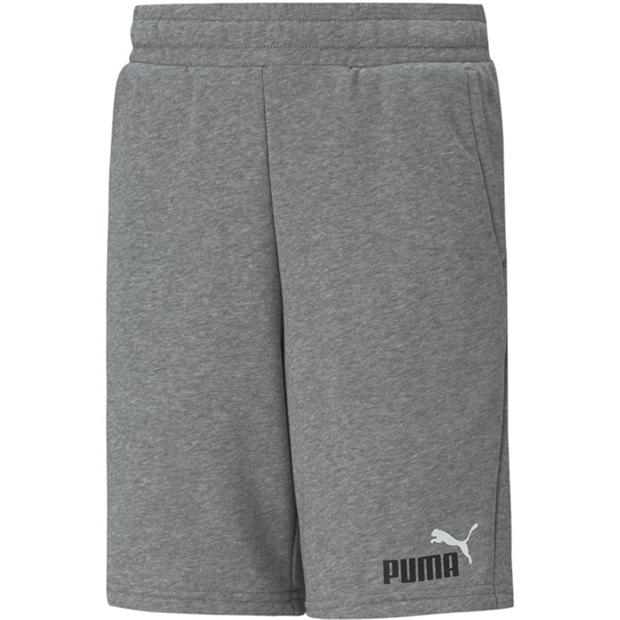 Puma 2 Col Shorts TR B