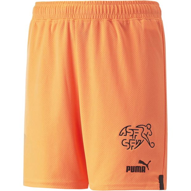 Puma Switzerland Shorts Replica Juniors