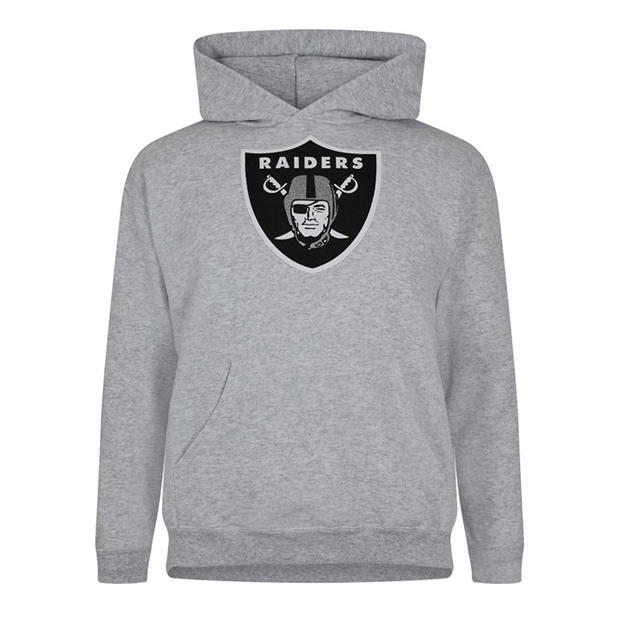 NFL Logo Hoodie Sn99