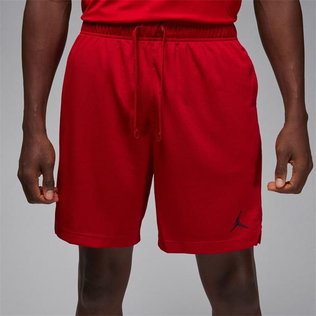 Air Jordan Sport Men's Dri-FIT Mesh Shorts