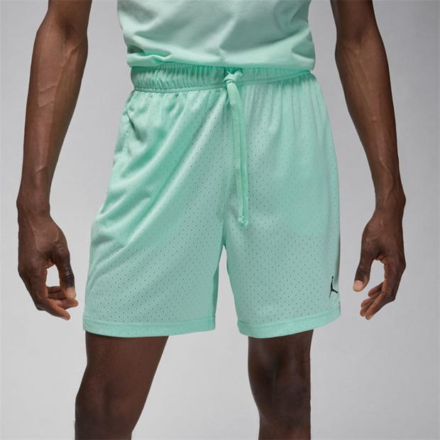 Air Jordan Sport Men's Dri-FIT Mesh Shorts