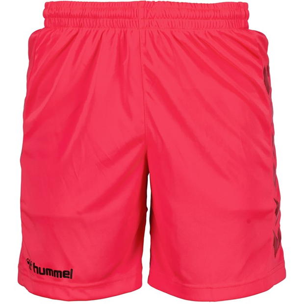 Hummel Goalkeeper Top and Short Set Adults