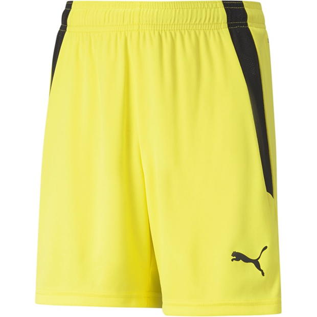 Puma Teamliga Shorts Jr Football Short Unisex Kids