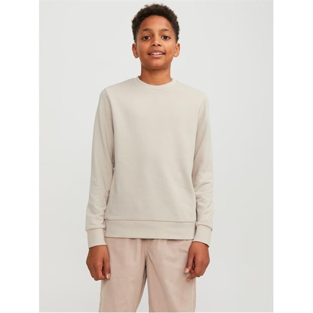 Jack and Jones Bradley Sweater Jn00