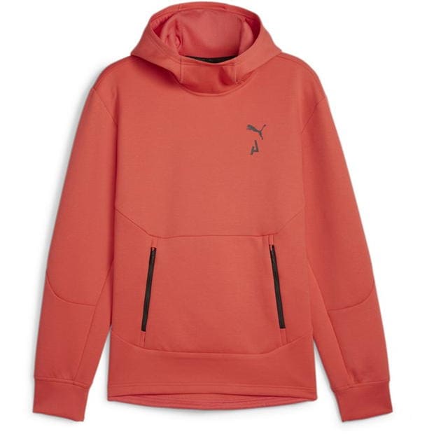 Puma Logo Tech Hoody Sn99