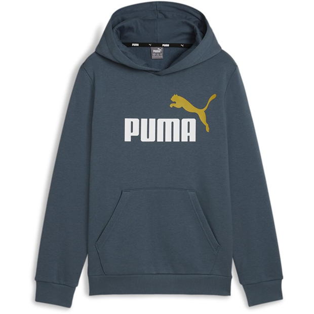 Puma No1 OTH Hoodie Junior Boys