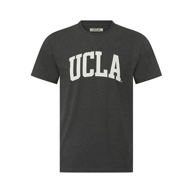 UCLA Lrg Lgo T Sn43