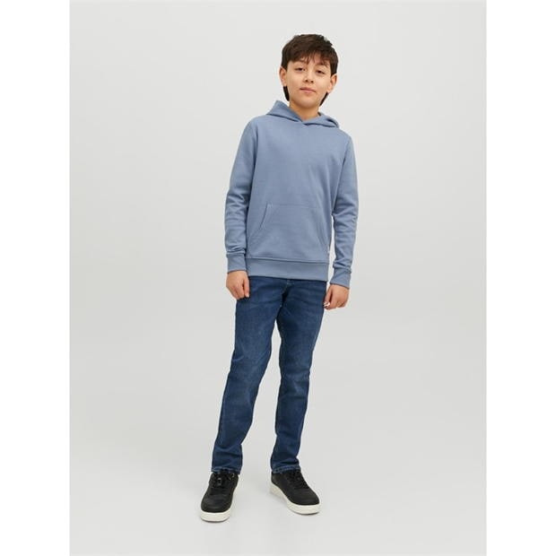 Jack and Jones Glenn 070 Jean Jn00