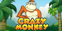 Crazy Monkey